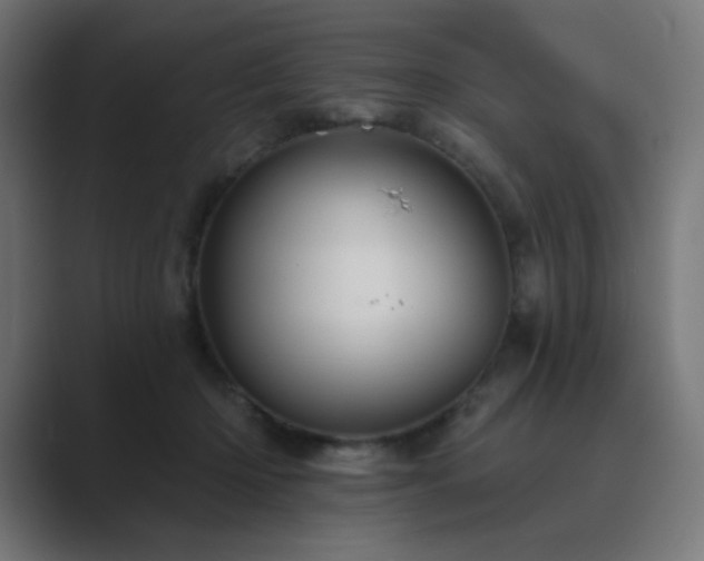 X0000089960414200706291233