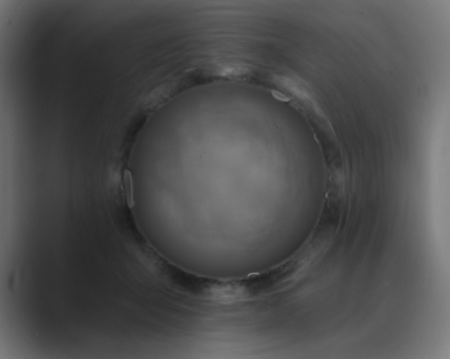 X0000089960415200706291233