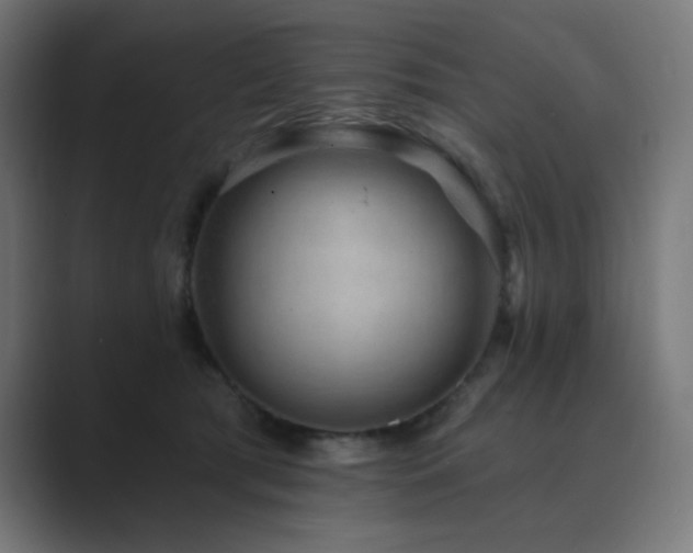 X0000089960417200706291233