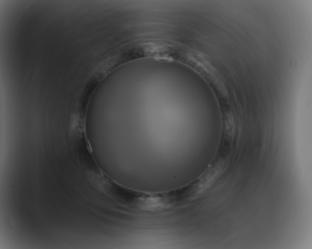 X0000089960419200706291233