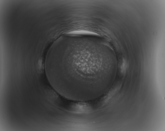 X0000089960420200706291233