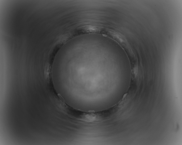 X0000089960423200706291233