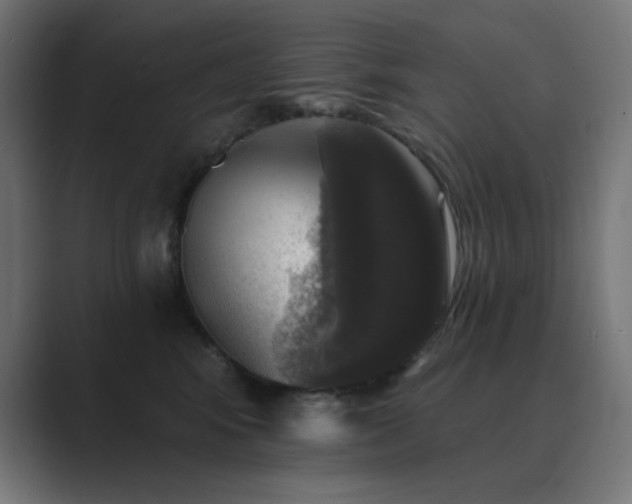 X0000089960424200706291233