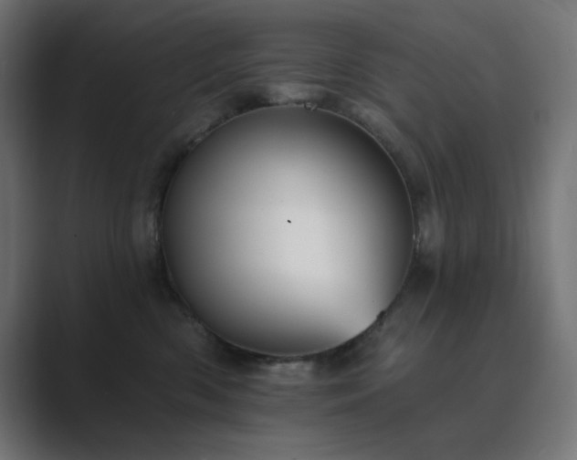 X0000089960426200706291233