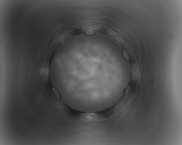 X0000089960427200706291233