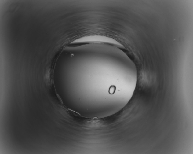 X0000089960428200706291233
