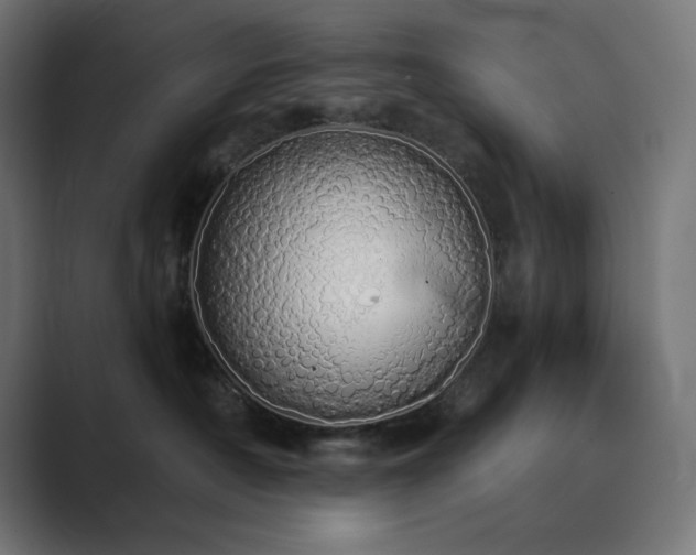 X0000089960430200706291233
