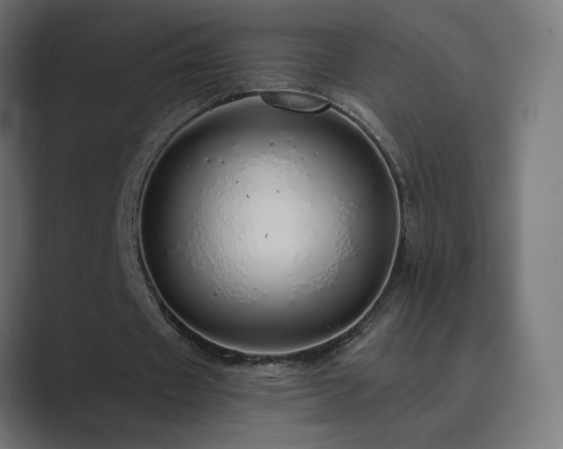X0000089960433200706291232