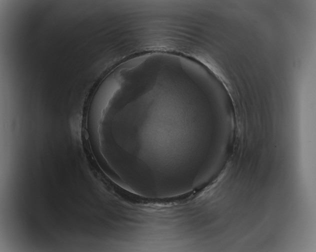 X0000089960434200706291232