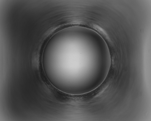X0000089960436200706291232