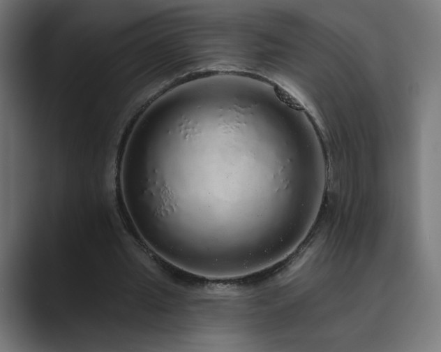 X0000089960437200706291232