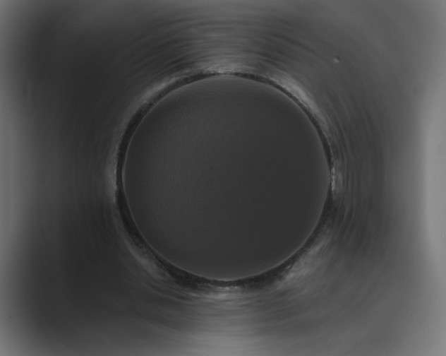 X0000089960438200706291232