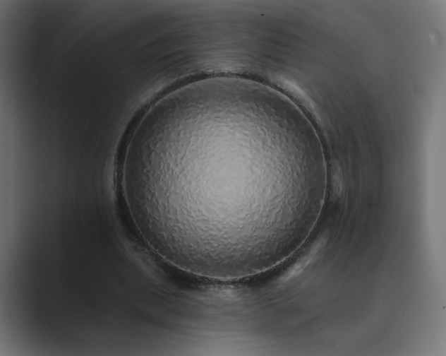 X0000089960439200706291232
