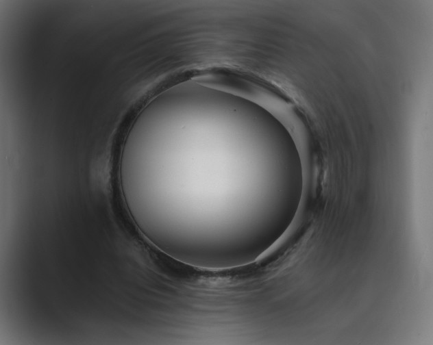 X0000089960440200706291232