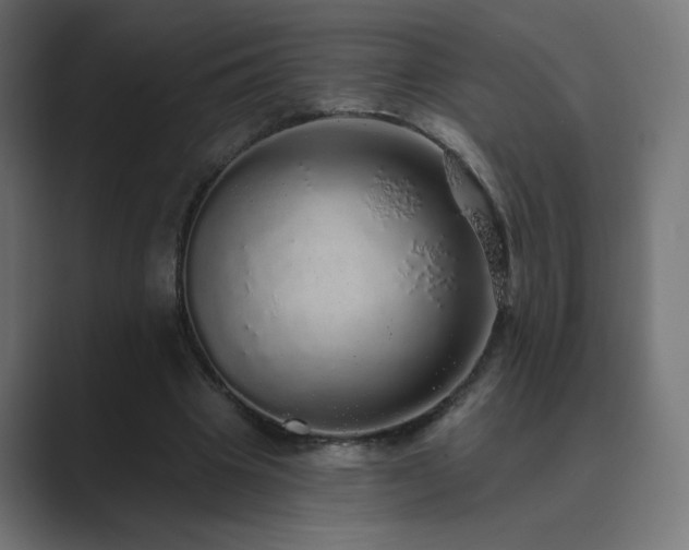 X0000089960441200706291232
