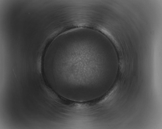 X0000089960442200706291232