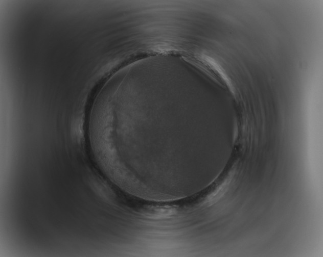 X0000089960443200706291232