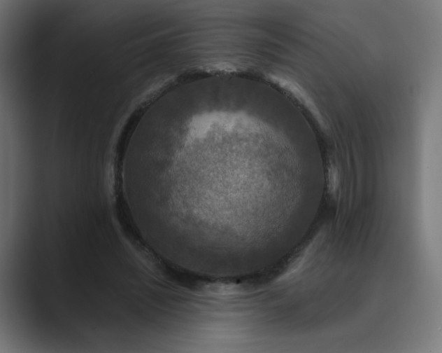 X0000089960444200706291232