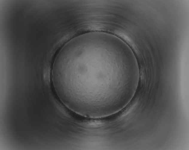 X0000089960445200706291232