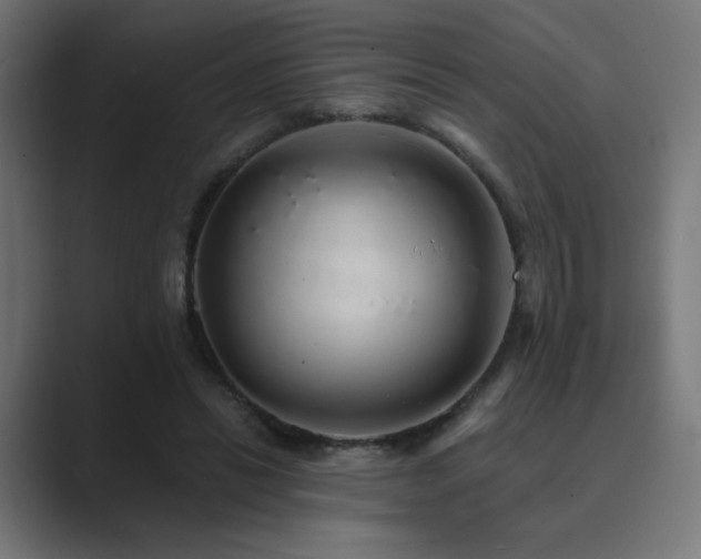 X0000089960446200706291232