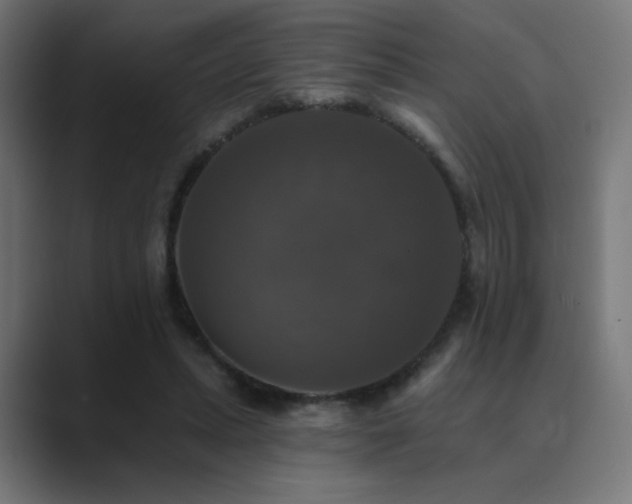 X0000089960447200706291232