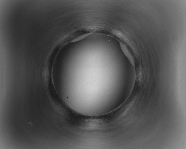 X0000089960448200706291232