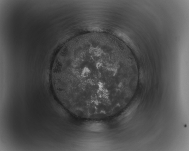 X0000089960449200706291232