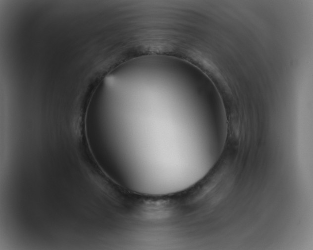 X0000089960450200706291232