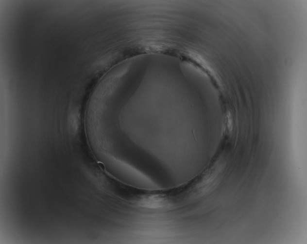 X0000089960451200706291232