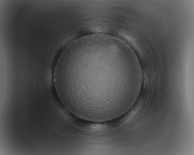 X0000089960453200706291232