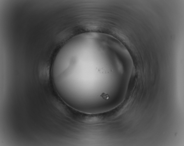 X0000089960454200706291232