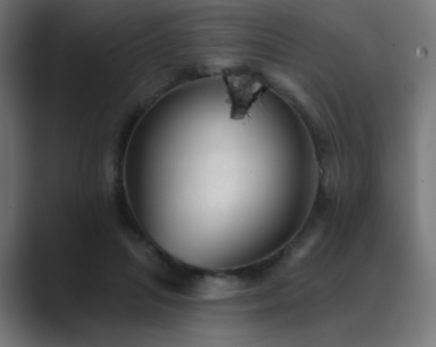 X0000089960455200706291232