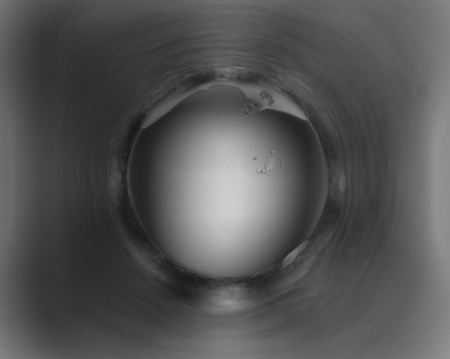 X0000089960456200706291232