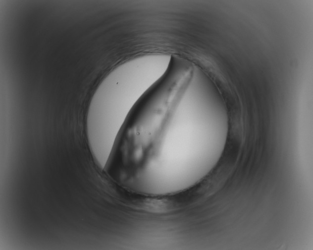 X0000089960457200706291232