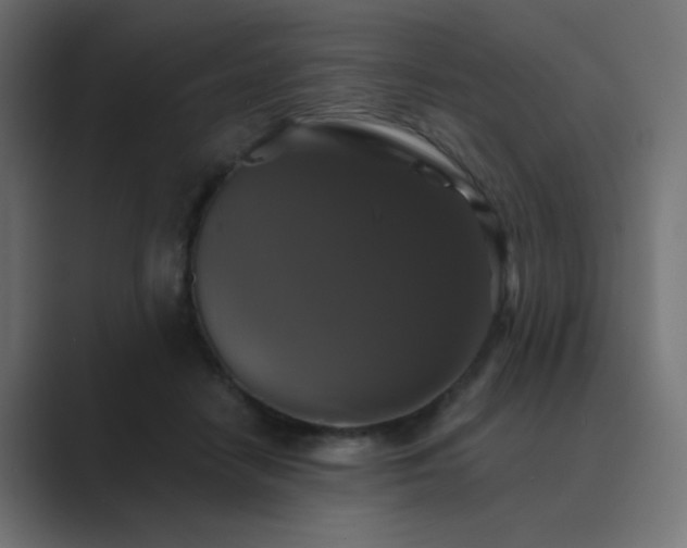 X0000089960458200706291232