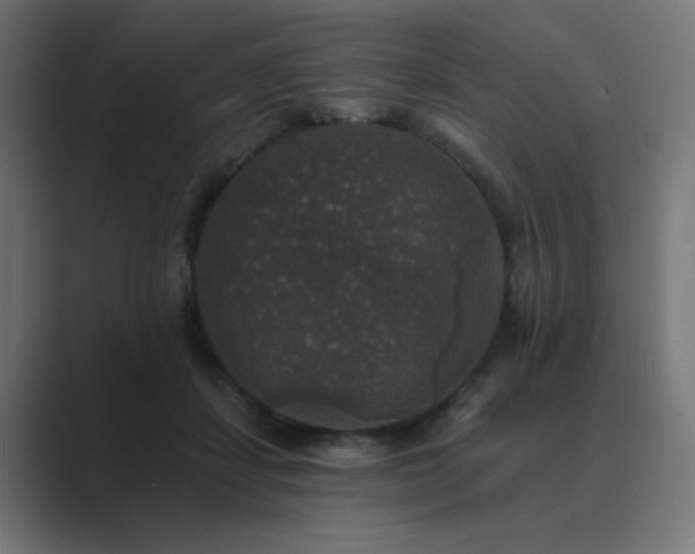 X0000089960459200706291232