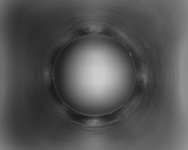X0000089960460200706291232