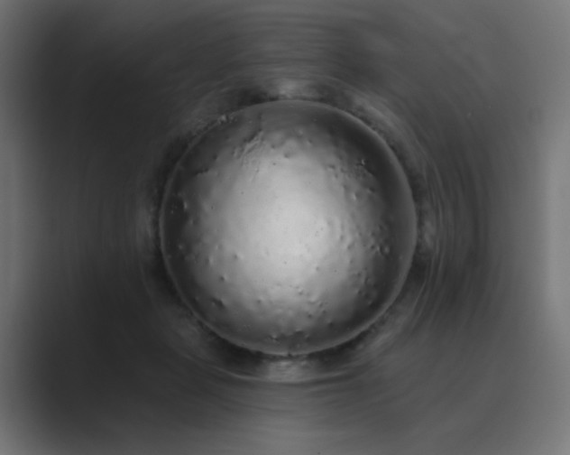 X0000089960461200706291232