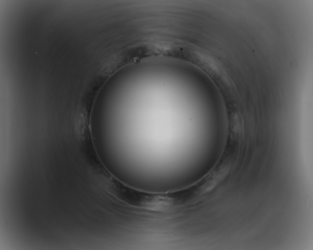 X0000089960463200706291232