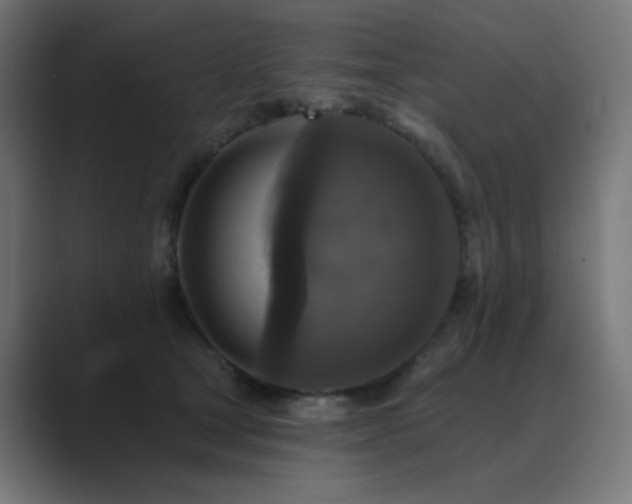 X0000089960465200706291232