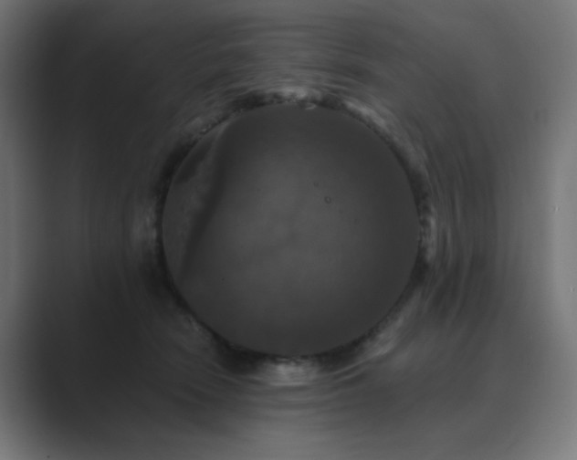 X0000089960466200706291232