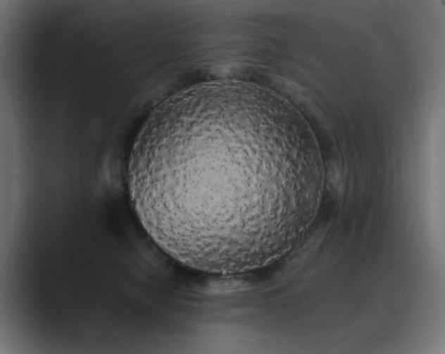 X0000089960470200706291232