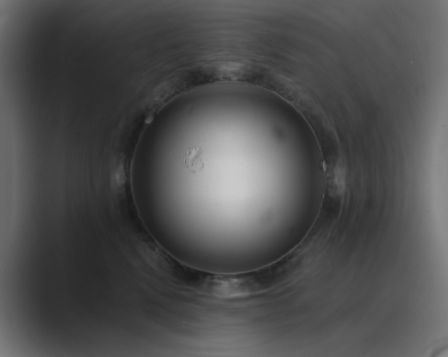 X0000089960472200706291232