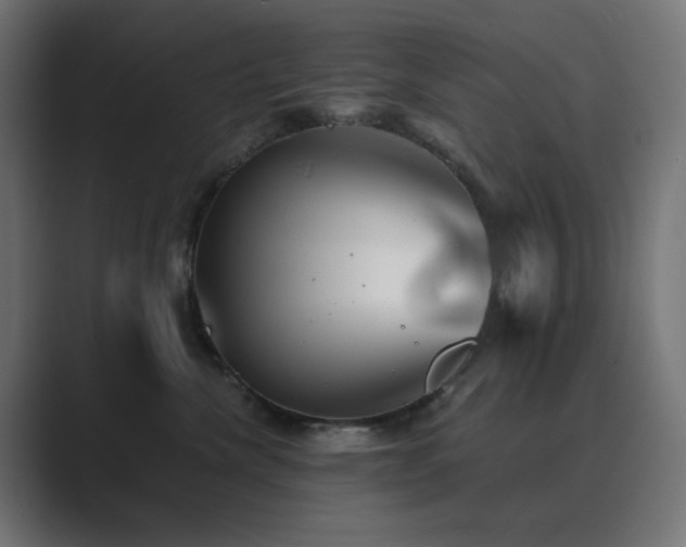 X0000089960476200706291232