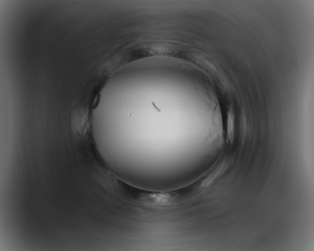 X0000089960478200706291232