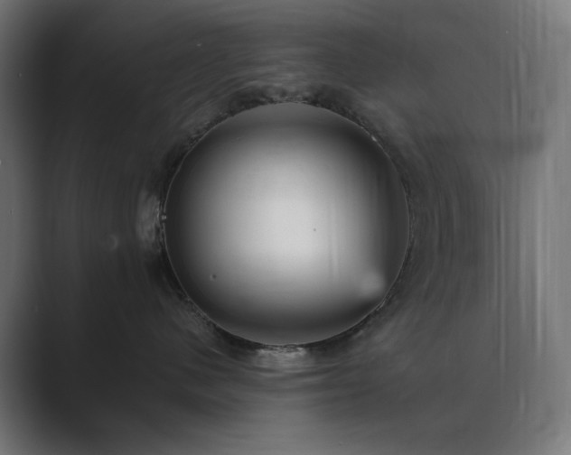 X0000089960480200706291233
