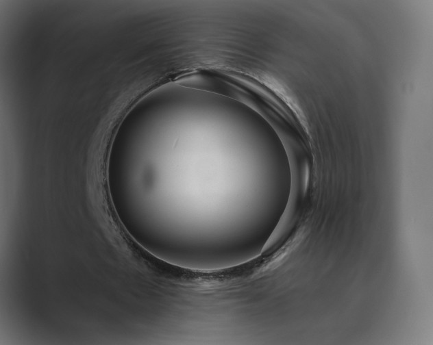 X0000089960481200706291232