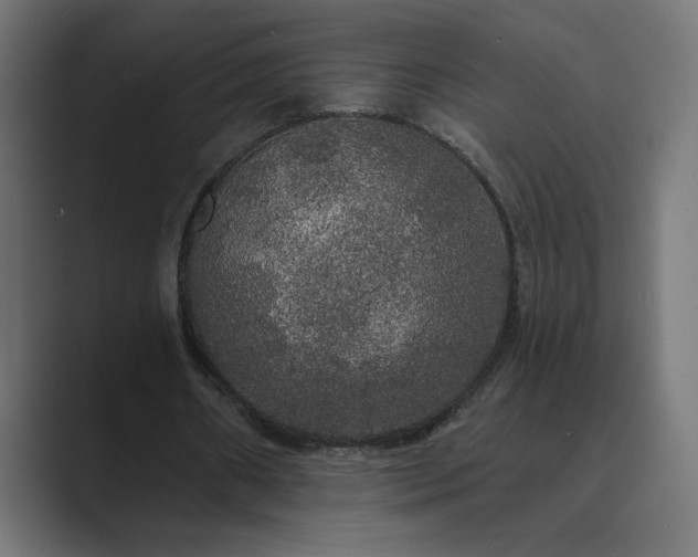 X0000089960482200706291232