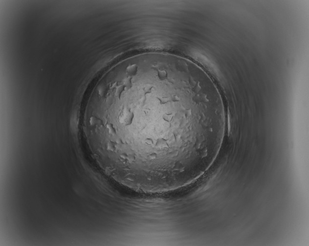 X0000089960483200706291232