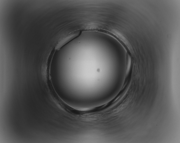 X0000089960485200706291232